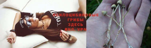 стафф Балахна