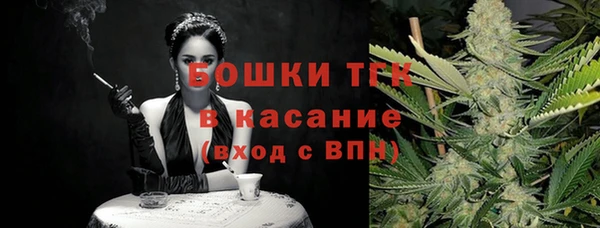 твердый Арсеньев