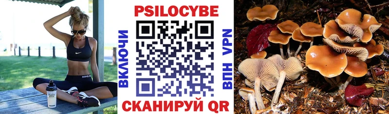 Галлюциногенные грибы Cubensis  продажа наркотиков  Стародуб 